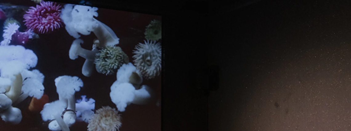 СПА на киевской, славянки - массажи, хаммам, апартаменты - фото 9